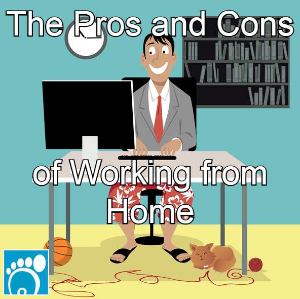 The Pros and Cons of Working from Home